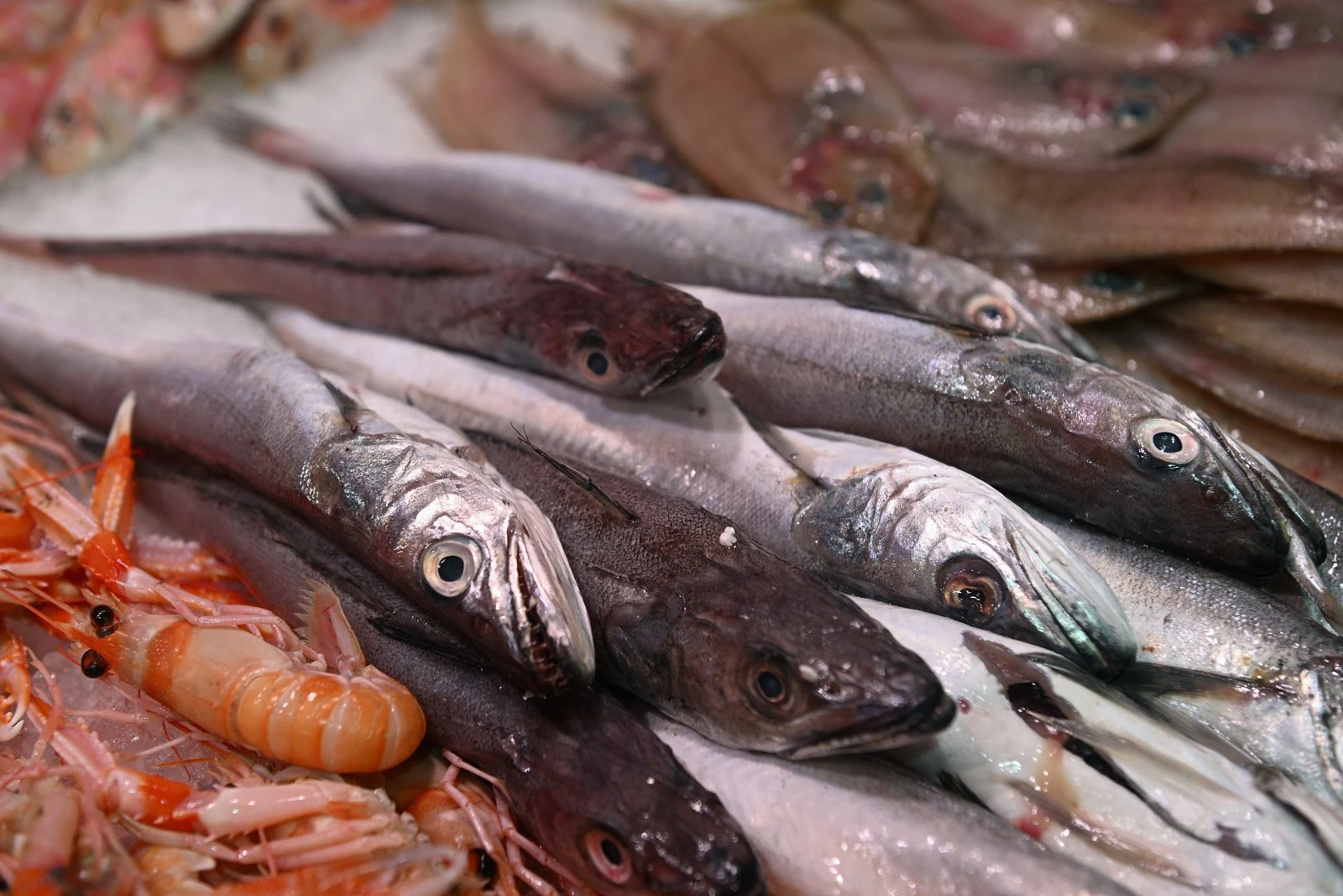 Peix i marisc al taulell de Peix Fresc Anna